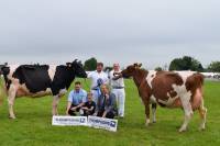 Priestland 5446 Shot J Rose EX93 & Garthland Redwing qualified for Thompsons cow of the year