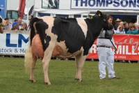 Priestland 5446 Shot J Rose EX93