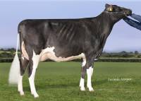 Priestland 5235 PS James Rose VG87