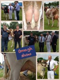 Omagh Show 
