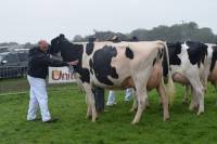 Priestland 5932 Sammy Dellia placed 1st in line of second calvers