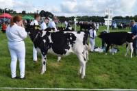 Priestland 6530 Solomon James Rose