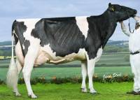 Priestland 5446 Shot J Rose EX93