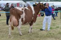 Garthland Redwing EX94