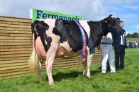 Priestland 5446 Shot J Rose EX93