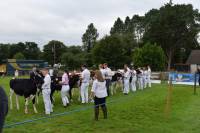 Maiden Dairy Championship Line Up (Unix Ambrosia -2nd)