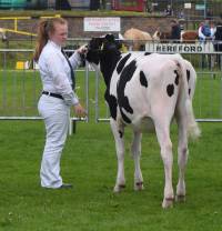 Priestland 5932 Sammy Dellia