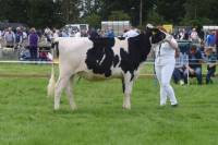 Priestland 6409 Unix Ambrosia