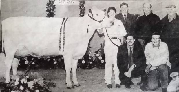 Photographed at the National Holstein Show 2000