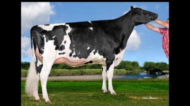 Jacobs Doorman Velvet VG85