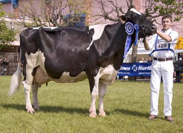 Medway Supreme Maude EX97(8E)