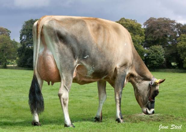 Fordwich Comerica Genevive EX91