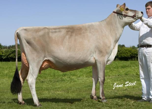 Fordwich Saturn Genevive EX92