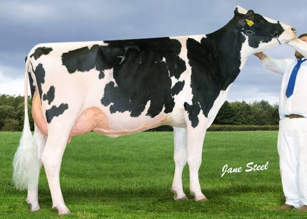 Priestland 5450 Braxton Frosty EX93