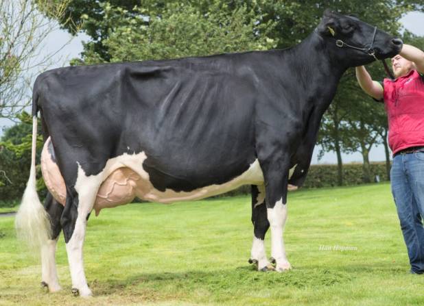 Priestland 5235 PS James Rose EX95(3) pictured August 2017