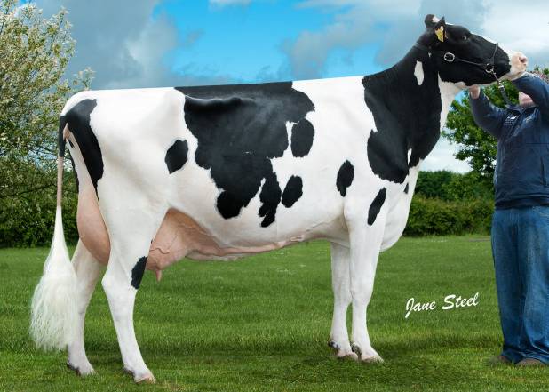 Priestland 4555 Merchant Betty EX93