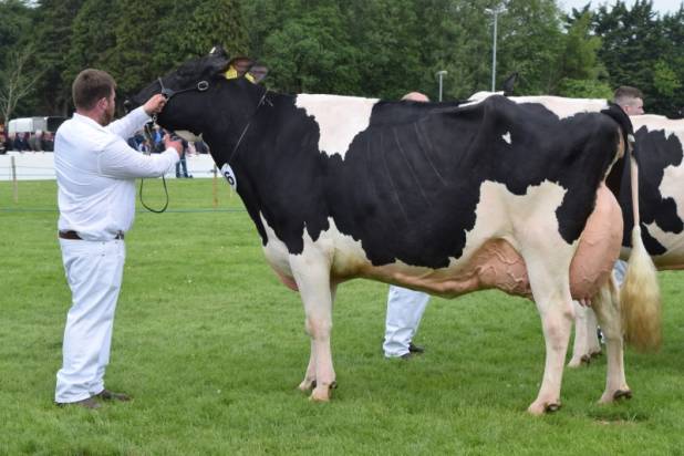 Priestland 5446 Shot J Rose 