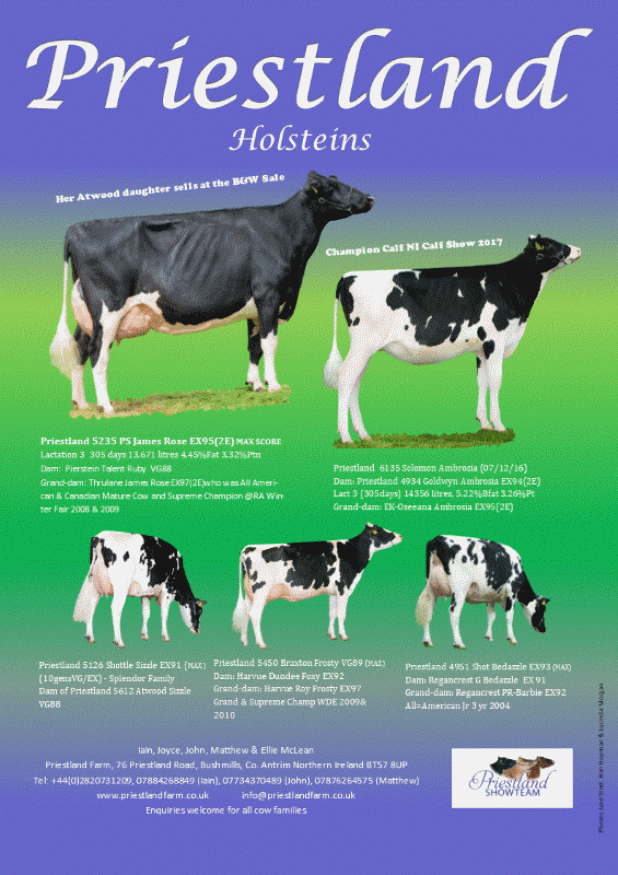 Advert for the Holstein Journal