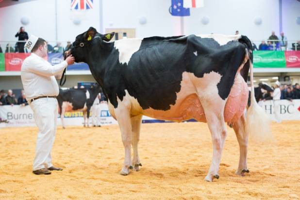 Priestland 5446 Shot J Rose EX93