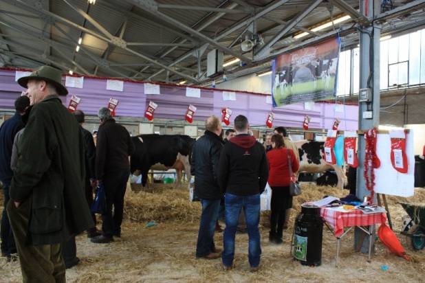 The stall had a lot of visitors