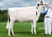 Priestland 5366 Windbrook Laurel EX92(2E)