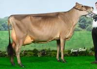 Bluegrass Bobs Jane Russell (UK Dairy Expo - 2nd lactation)