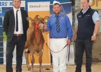 Priestland Superstud Honey - champion calf @ NI Calf Show 2021