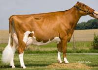 Red Vision Dory EX92 Maternal sister to Grand dam