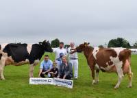 Priestland 5446 Shot J Rose EX93 & Garthland Redwing qualified for Thompsons cow of the year