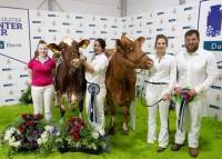 SHOW TEAM WITH CHAMPION & RES CHAMPION DAIRY SHORTHORN