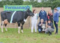 All Ireland Cow of the Year 2016