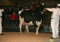 Priestland 4876 Goldwyn Karen