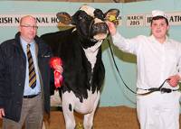 Hyclass Roy Anna won the dry cow class