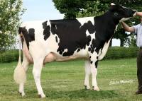 Priestland 4665 Lancelot Lydia EX92 4yr