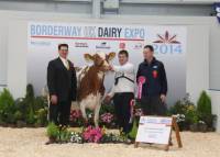 Shorthorn Champion