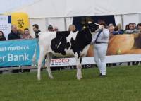 Priestland 6409 Unix Ambrosia