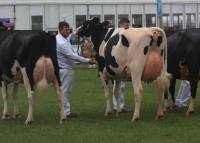 Priestland 5932 Sammy Dellia