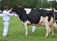 Priestland 5446 Shot J Rose 