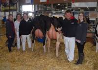 The Team with Priestland 6146 Atwood J Rose & Priestland 6062 Atwood Laurel