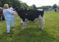 Priestland 5724 LG Chanel standing 1st in a class of 12