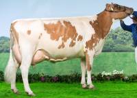 Marleycote Sea Lily 14 EX93