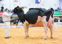 Priestland 5446 Shot J Rose EX93