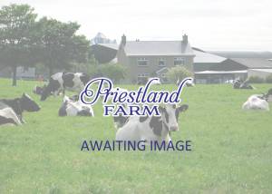 Priestland 5124 Sanchez Paradise EX91