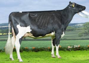 PRIESTLAND 5770 SID AMBROSIA VG88