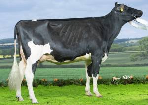 PRIESTLAND 5770 SID AMBROSIA VG88