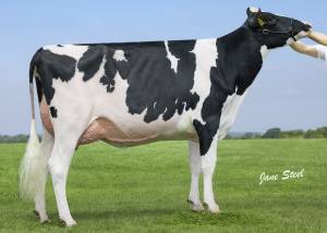 PRIESTLAND 6877 MASTER JAMES ROSE VG88 MAX SCORE