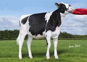 PRIESTLAND 6838 ARTIST JAMES ROSE VG86