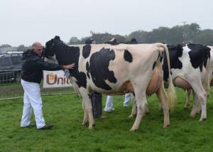 Priestland 5932 SAMMY DELLIA EX91