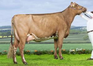 BUSHMILLS PROPHETS PETAL VG88