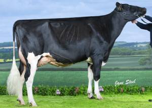 PRIESTLAND 6146 ATWOOD JAMES ROSE VG88